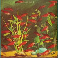 Concerto For Synthesizer